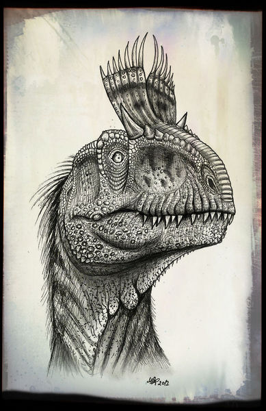 Plik:Cryolophosaurus head.jpg