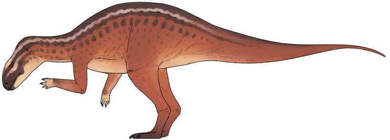 Plik:Foskeia pelendonum.png