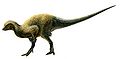 Kulindadromeus.jpg