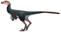 Xenovenator espinosai.png