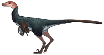 Xenovenator espinosai.png