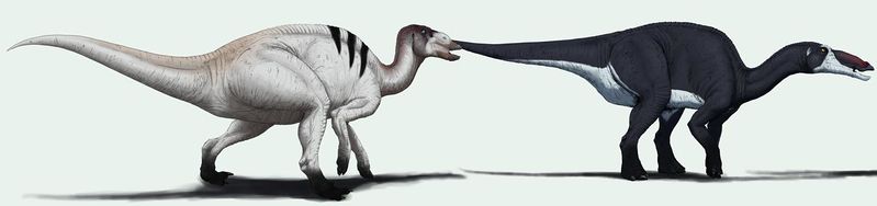 Plik:Edmontosaurus Edyta Felcyn.jpg