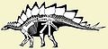 Stegosauria.jpg