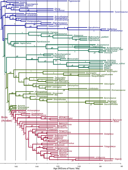 Plik:Lee i in. 2014A miniaturization I.PNG