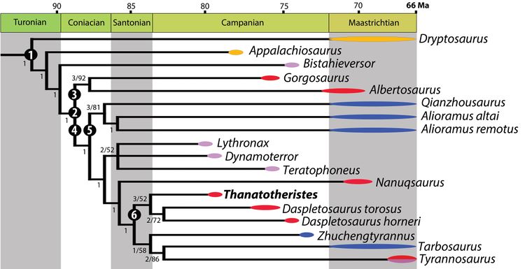 Tyranosauridae Voris et all 2010.jpg