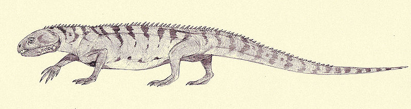 Plik:Mesosuchus by Kahless28.jpg