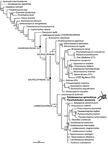 Plik:Prieo-Marquez i Wagner 2009.PNG