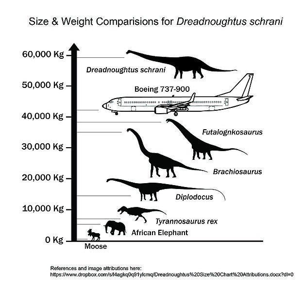 Plik:Dreadnoughtus Size & Weight Comparision (Metric) JPG.jpg