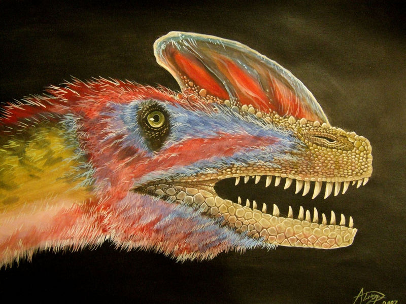 Plik:Guanlong wucaii by alexandernevsky.jpg