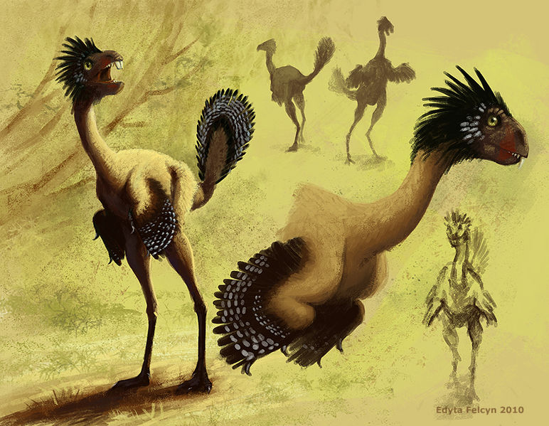 Plik:Incisivosaurus Edyta Felcyn.jpg