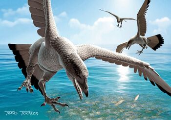 Tenuicruris piscanexum (life restoration by by Travis Tischler).jpg