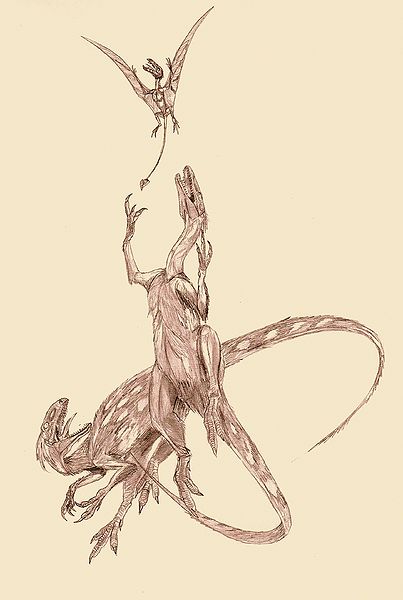 Plik:Flying food by Kahless28.jpg