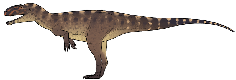 Plik:Yuanmouraptor jinshajiangensis.png
