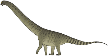 Chadititan calvoi.png