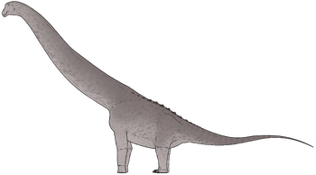 Utetitan zellaguymondeweyae.png