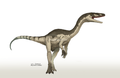 Coelophysis bauri by camusaltamirano-d80ziwe.png