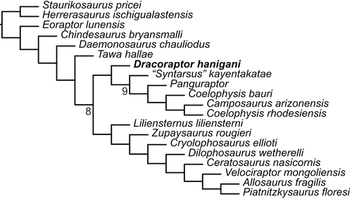 Martill i in. 2016 Dracoraptor.png