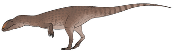 Newtonsaurus cambrensis.png