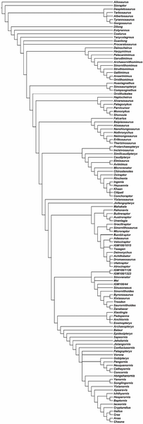 Plik:Foth i in. 2014 Archaeopteryx reduced.PNG