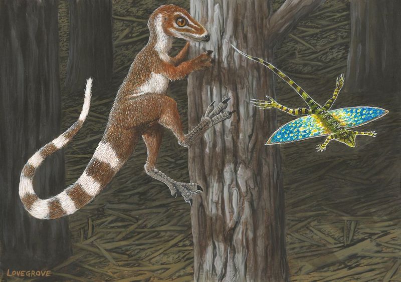 Plik:Sinosauropteryx prima by alexanderlovegrove.jpg