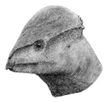 Miniatura wersji z 20:48, 26 mar 2026