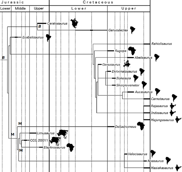 Plik:Rauhut i Carrano 2016 Elaphro.PNG