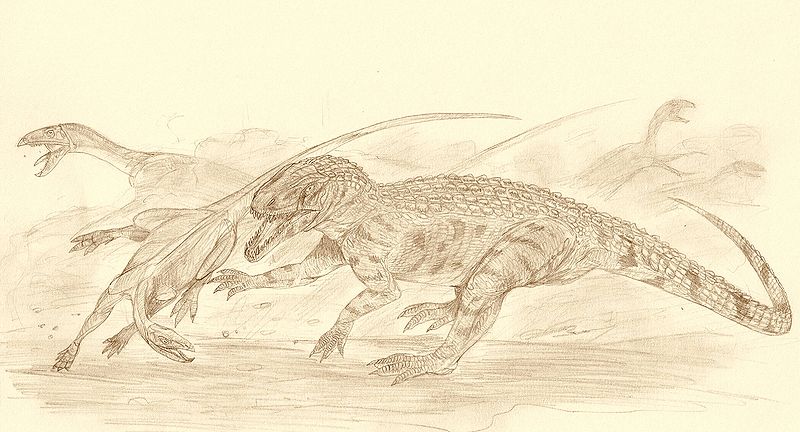 Plik:Polonosuchus and Silesaurus by Kahless28.jpg