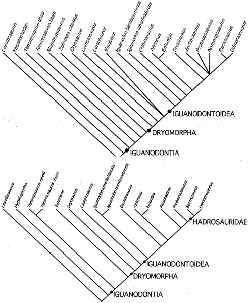 Plik:Norman 2004.PNG