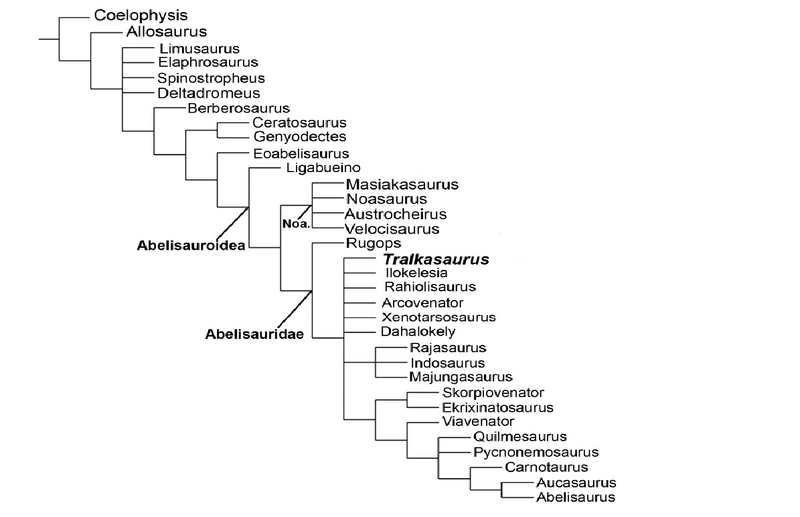Plik:Cerroni et al 2020.png