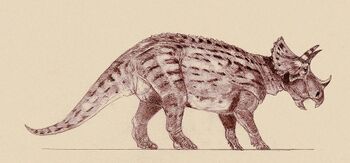 Tatankaceratops.jpg