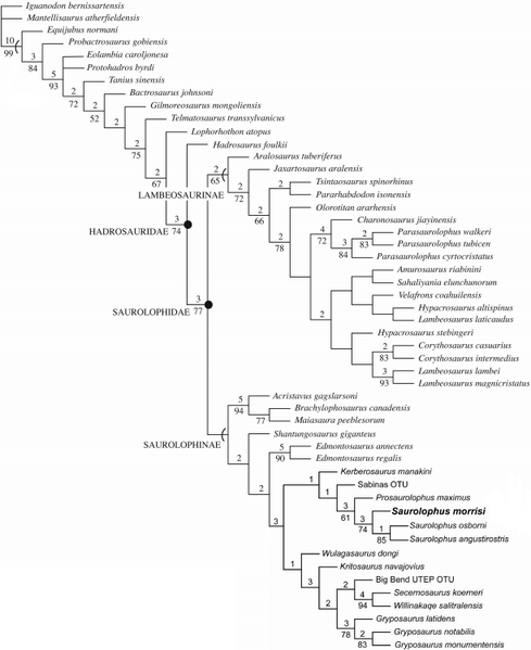 Plik:Prieto-Márquez i Wagner 2012.PNG