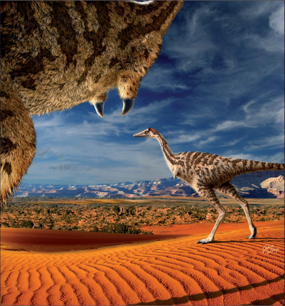 Plik:Linhenykus J.Csotonyi APP.PNG