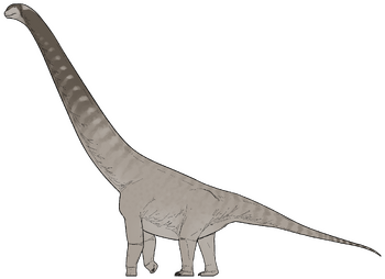 Nagatitan chaiyaphumensis.png