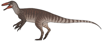 Joaquinraptor casali.png