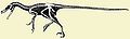 Dromaeosauridae.jpg