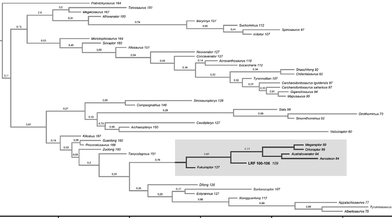 Plik:Bell et al. 2016 Australian megaraptorid Bayesian Novas.PNG