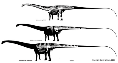 Diplodocus.png