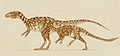 Raptorex kriegstenis by kahless28-d34rbo5.jpg
