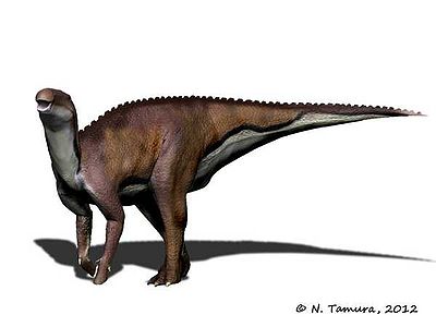 Huehuecanauhtlus NT.jpg