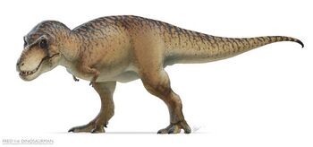Rex by fredthedinosaurman.jpg