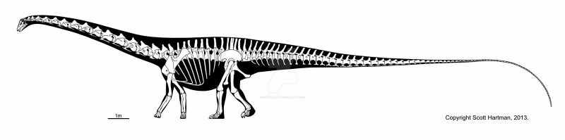 Plik:Double beam reptile by scotthartman.jpg