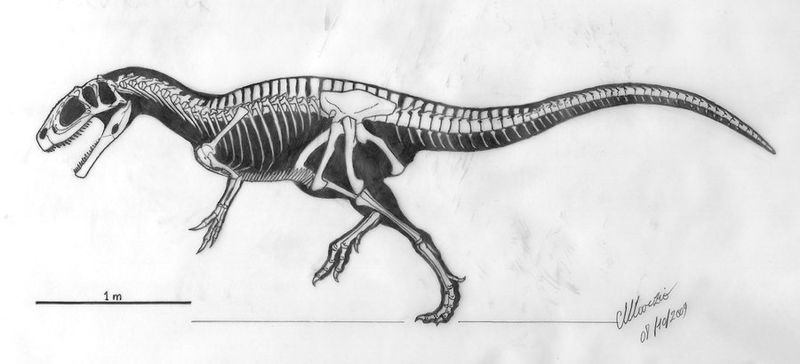 Plik:Fukuiraptor by maiorz.jpg