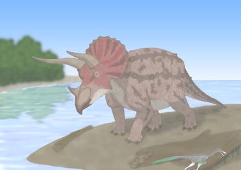 Triceratops UNDER THE LANCIAN SKY, Laelaps nipponensis.jpg