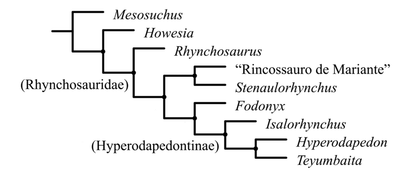 Plik:Rhynchosauria drzewo.png