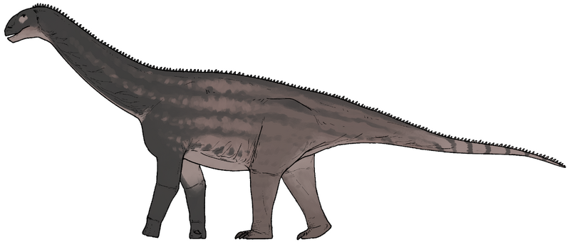 Plik:Huashanosaurus qini.png