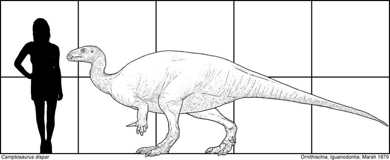 Plik:Seperated flexible saurian by tomozaurus.png