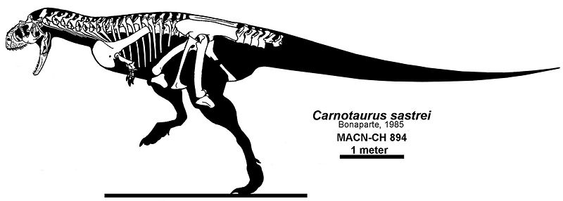 Plik:Carnotaurus2.jpg