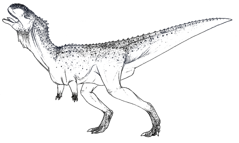 Plik:Xenotarsosaurus lineart by anto009.png