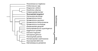 Longrich et al 2010.png