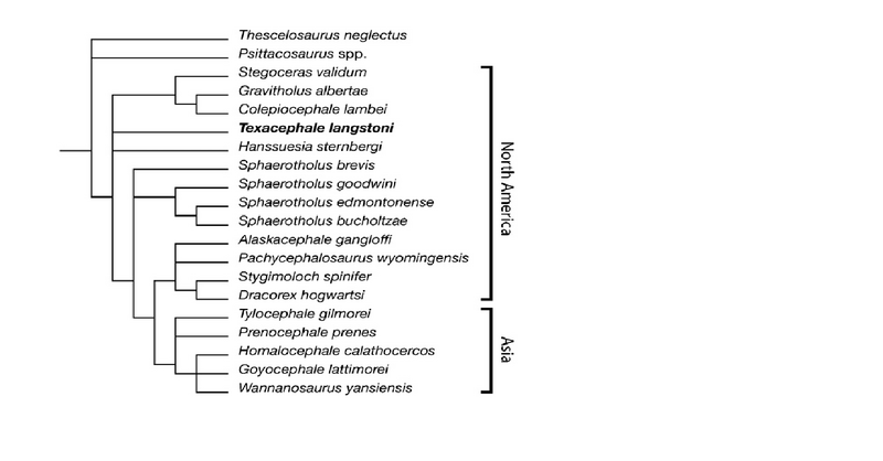 Plik:Longrich et al 2010.png